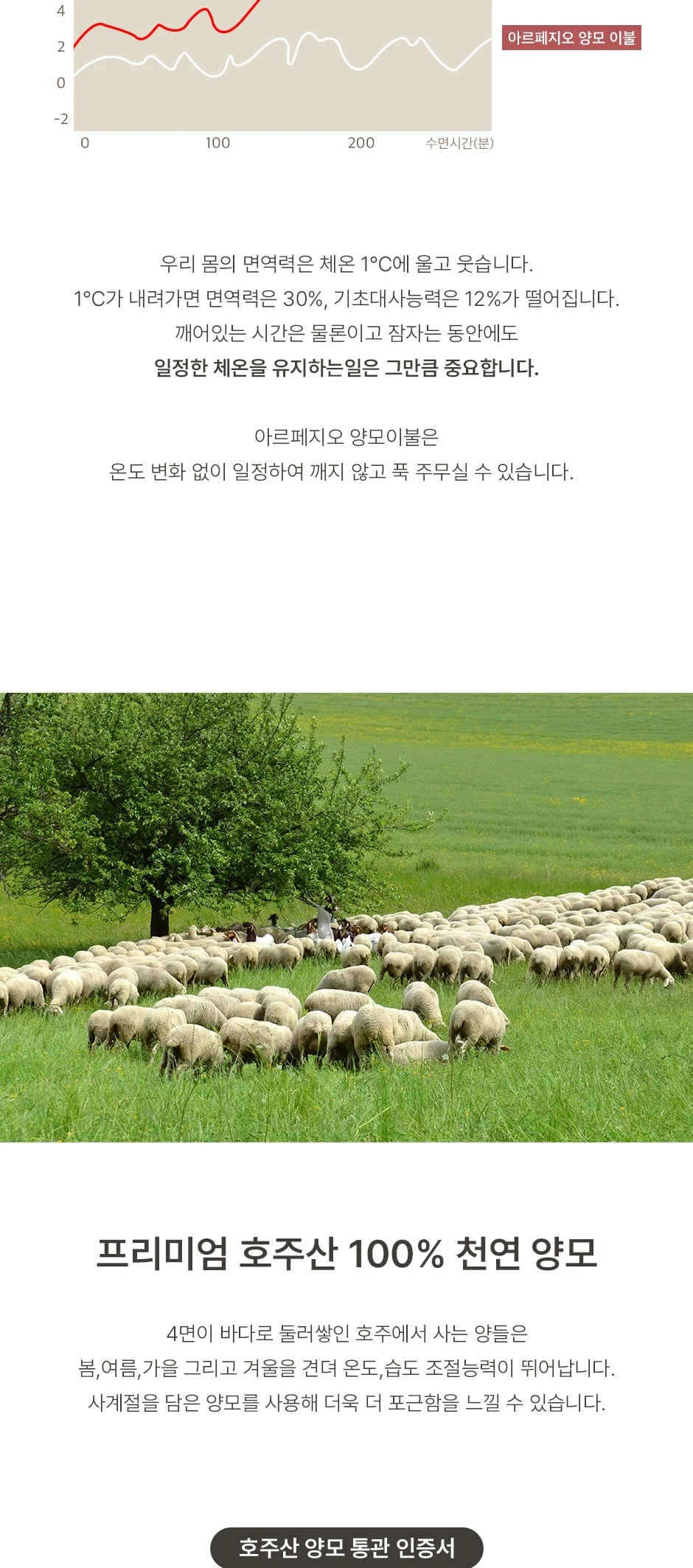 1+1 프리미엄 호주산 양모 100% 순면 스프레드 SS/Q/SK -3color 상세 이미지 10
