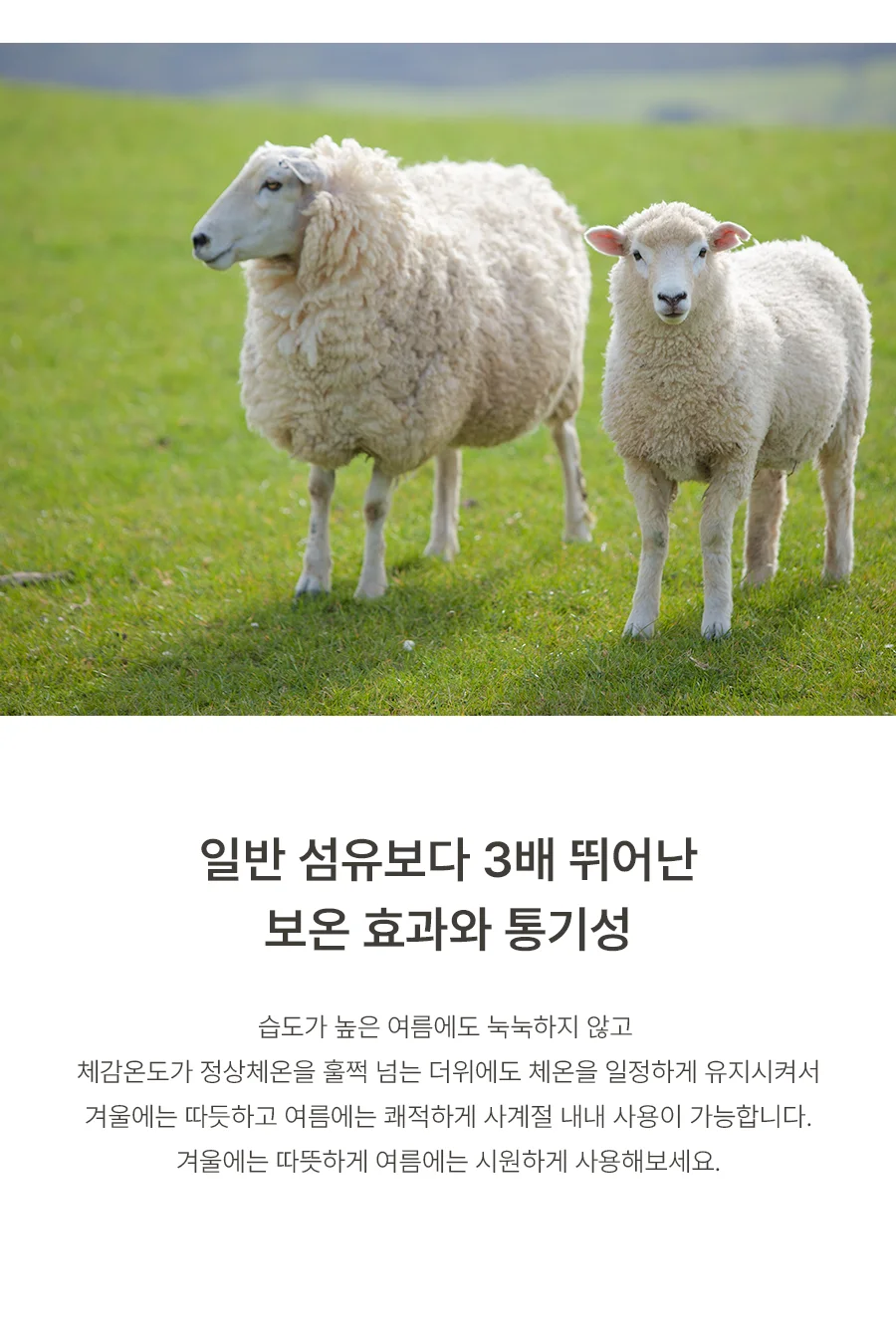 [전용패키지]프라마 고밀도 순면 호주산 양모 침대패드 SS/K -2color 상세 이미지 10
