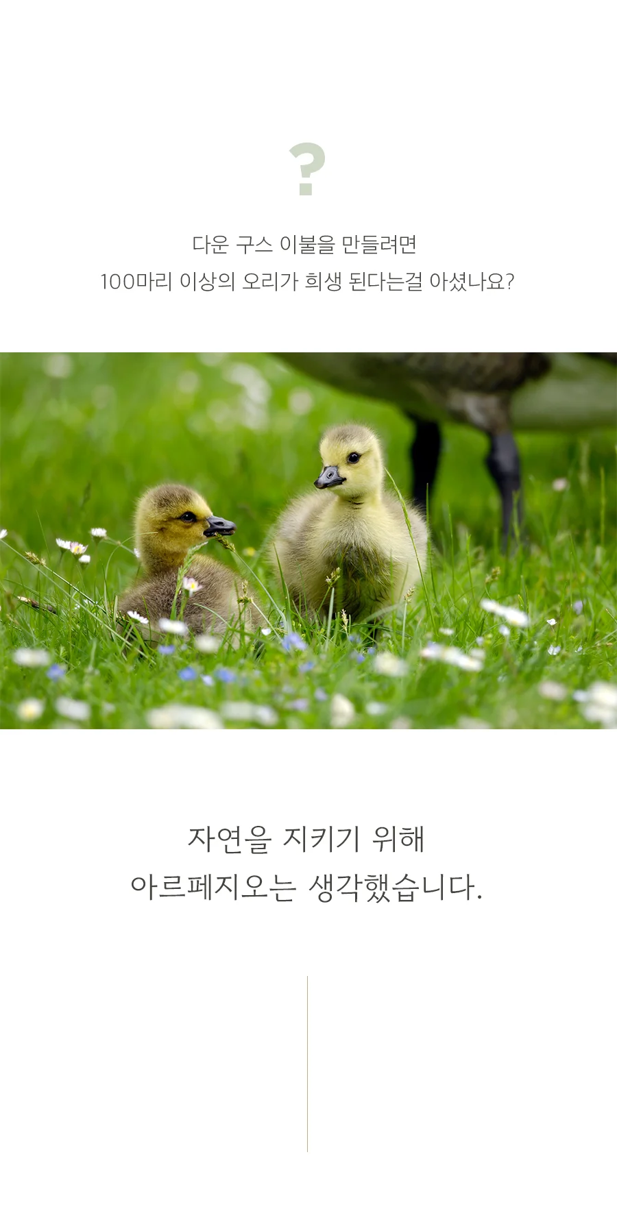 [GIFT 베딩백]콘 고밀도 순면60수 피그먼트 워싱 항균 옥수수솜 차렵이불/세트 -Sodablue 상세 이미지 6