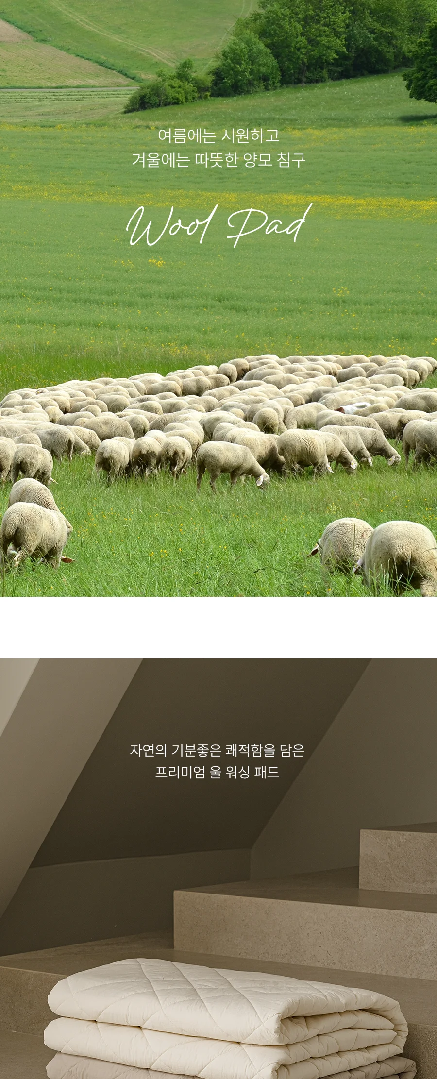 [전용패키지]프라마 고밀도 순면 호주산 양모 침대패드 SS/K -2color 상세 이미지 3