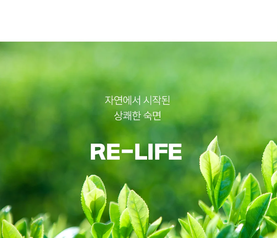 1+1 리라이프 항균 옥수수솜 알러지케어 경추 베개솜 50x70 상세 이미지 3