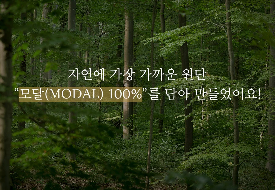 [GIFT 베딩백]소프트슈 모달100% 차렵이불/세트 Q -Butter 상세 이미지 13