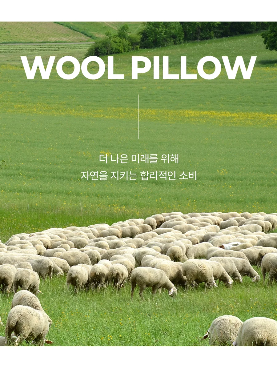 [전용패키지]클린핏 호주산 양모 항균 옥수수솜 경추 베개솜 45x65 상세 이미지 5