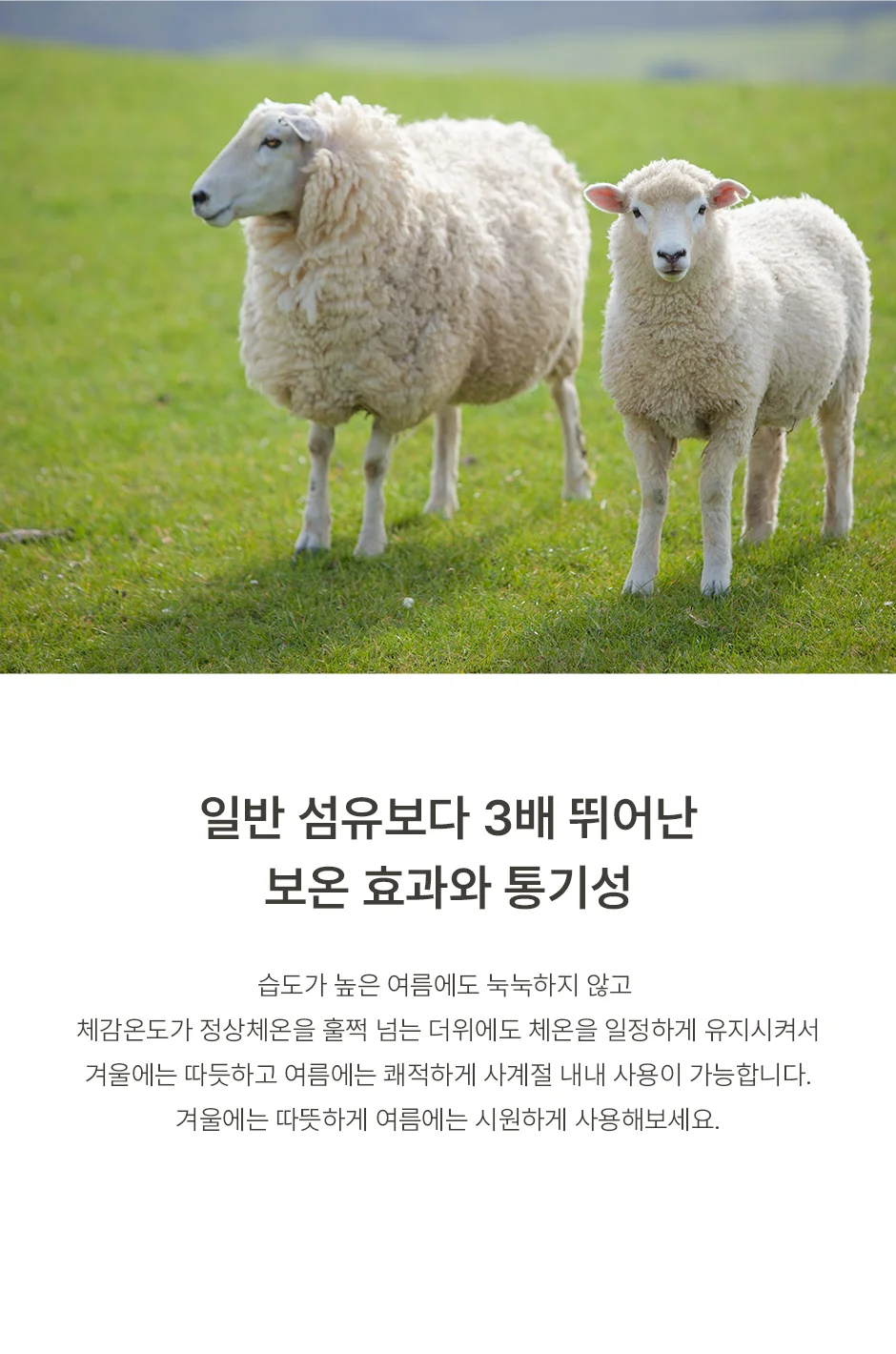 [전용패키지]프리미엄 호주산 양모 100% 순면 스프레드 SS/Q/SK -3color 상세 이미지 10