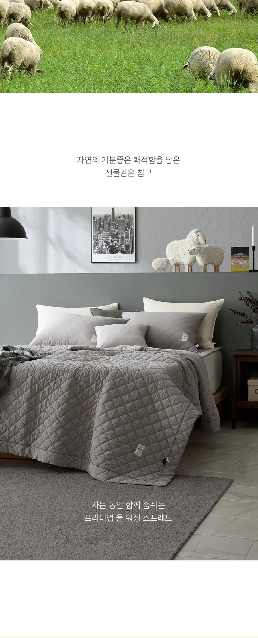1+1 프리미엄 호주산 양모 100% 순면 스프레드 SS/Q/SK -3color 상세 이미지 4