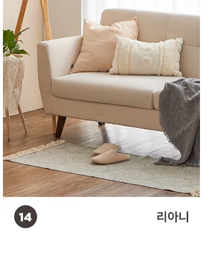 [BEST모음전] 홈데코 발매트/다용도매트 15종 택1 상세 이미지 19