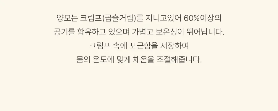 [전용패키지]프리미엄 호주산 양모 100% 순면 스프레드 SS/Q/SK -3color 상세 이미지 12