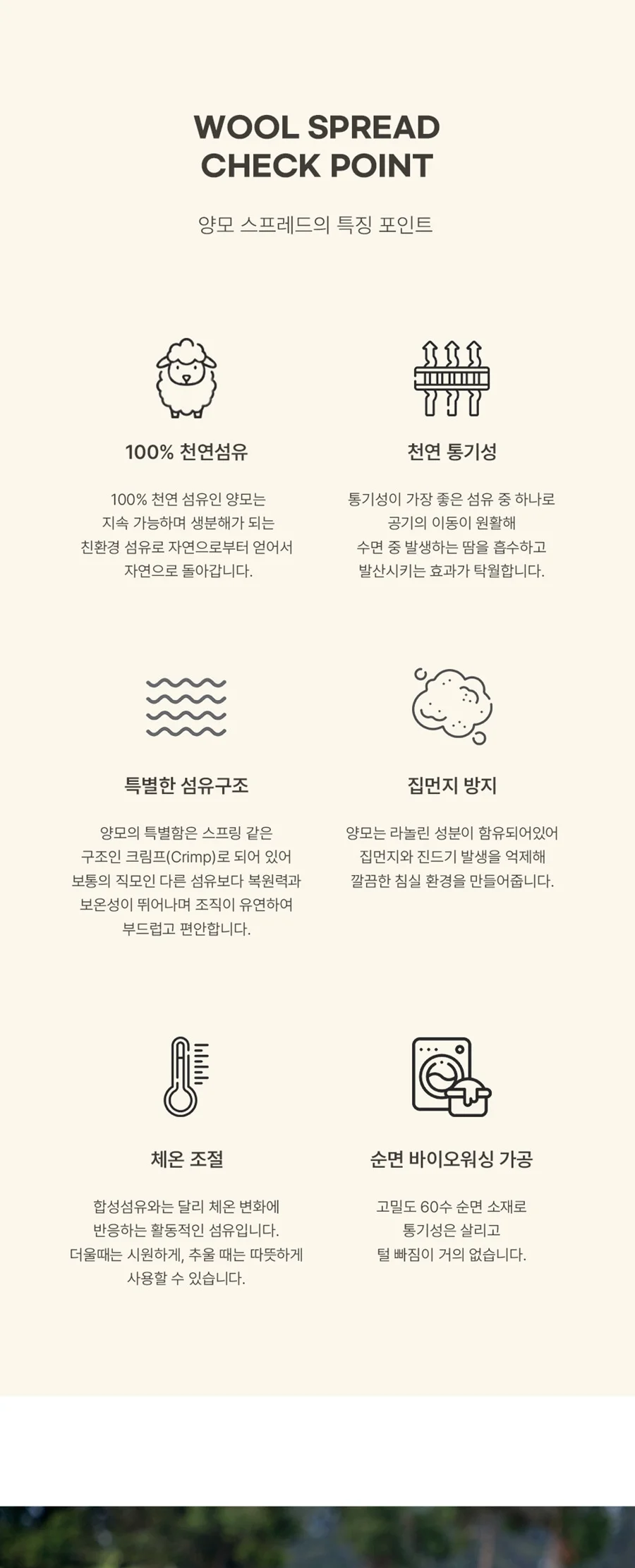 1+1 프리미엄 호주산 양모 100% 순면 스프레드 SS/Q/SK -3color 상세 이미지 5