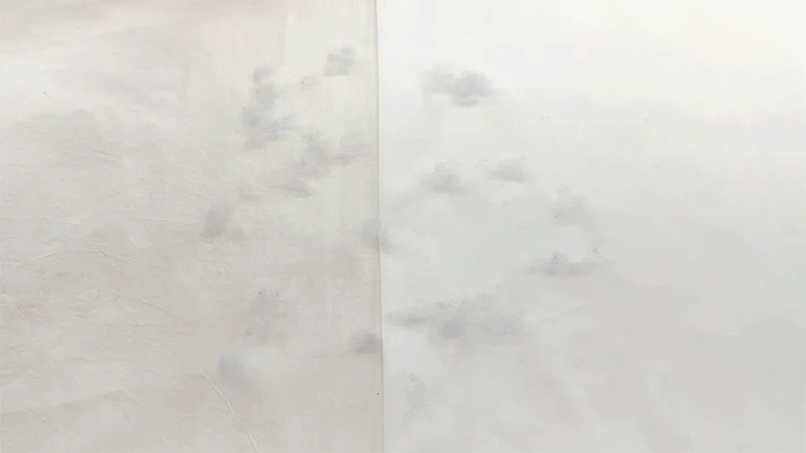 뉴메이딘 고밀도 순면 60수 바이오워싱 베개커버 50x70 -8colors 상세 이미지 10