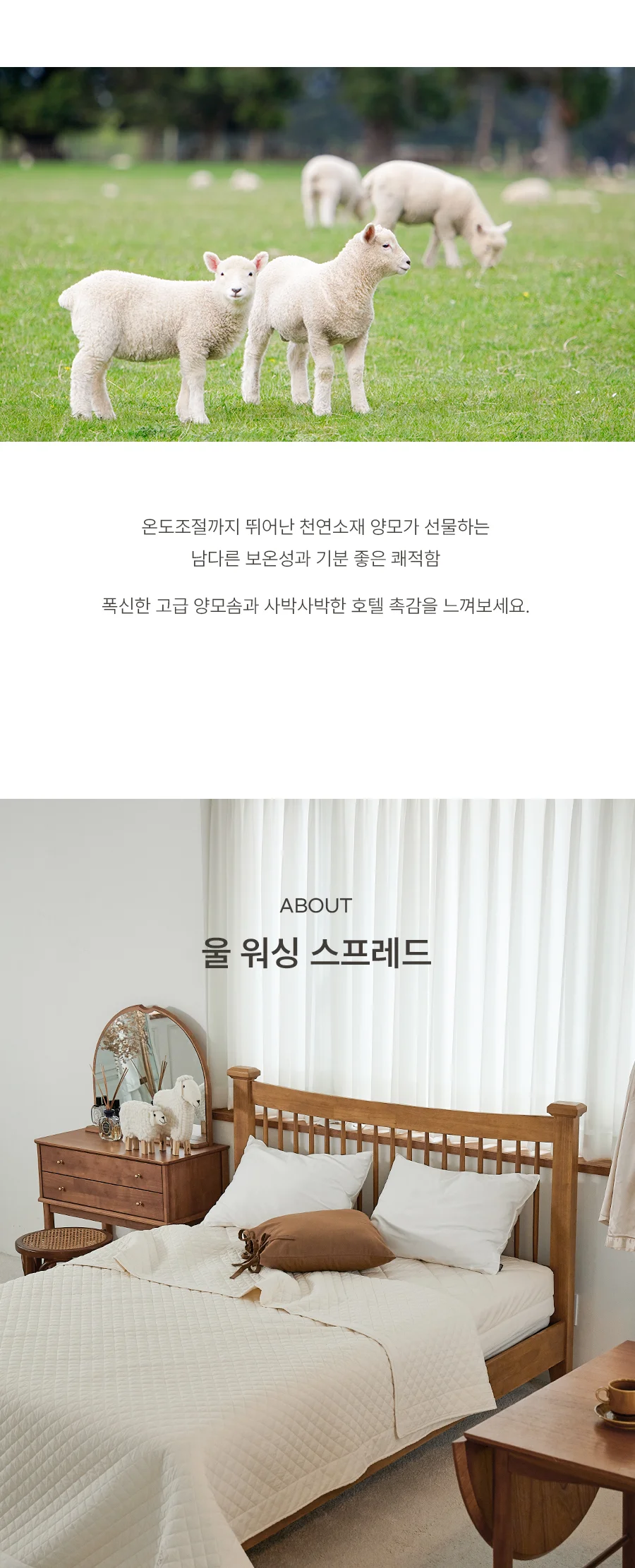 [전용패키지]모이스처 고밀도 순면 호주산 양모 스프레드 SS/Q -2color 상세 이미지 8