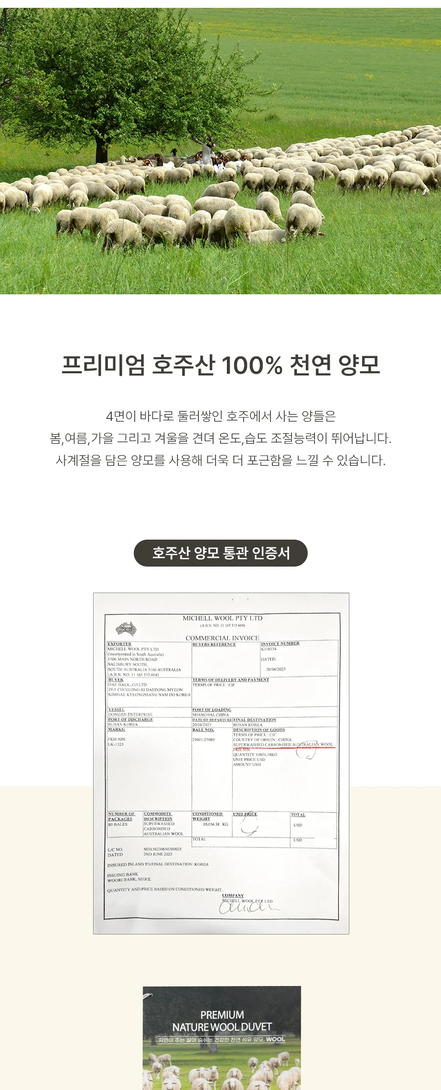 [전용패키지]모이스처 고밀도 순면 호주산 양모 스프레드 SS/Q -2color 상세 이미지 13