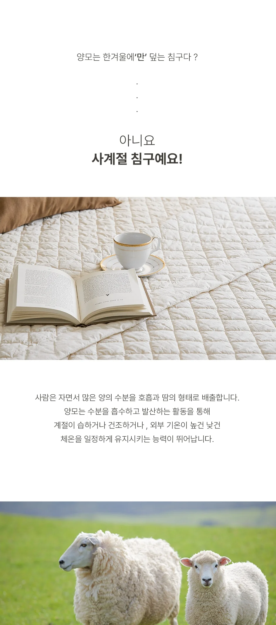 1+1 프리미엄 호주산 양모 100% 순면 스프레드 SS/Q/SK -3color 상세 이미지 7