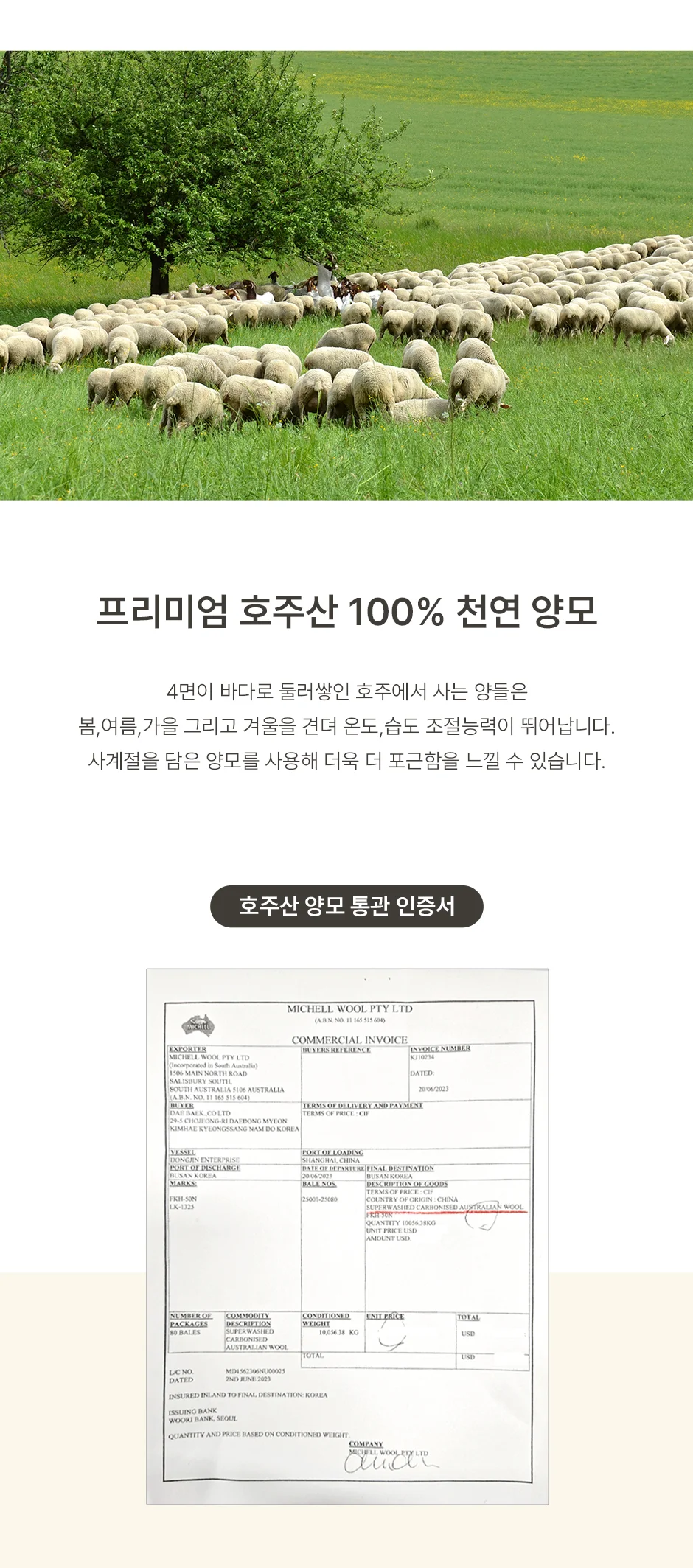 [전용패키지]프리미엄 호주산 양모 100% 순면 스프레드 SS/Q/SK -3color 상세 이미지 14