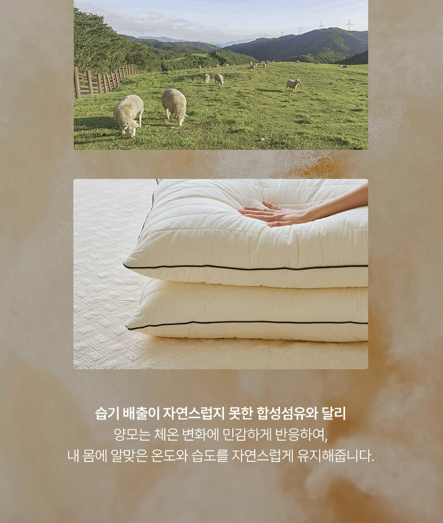 [전용패키지]몽클 고밀도 60수 순면 호주산 양모 베개 50x70 상세 이미지 5