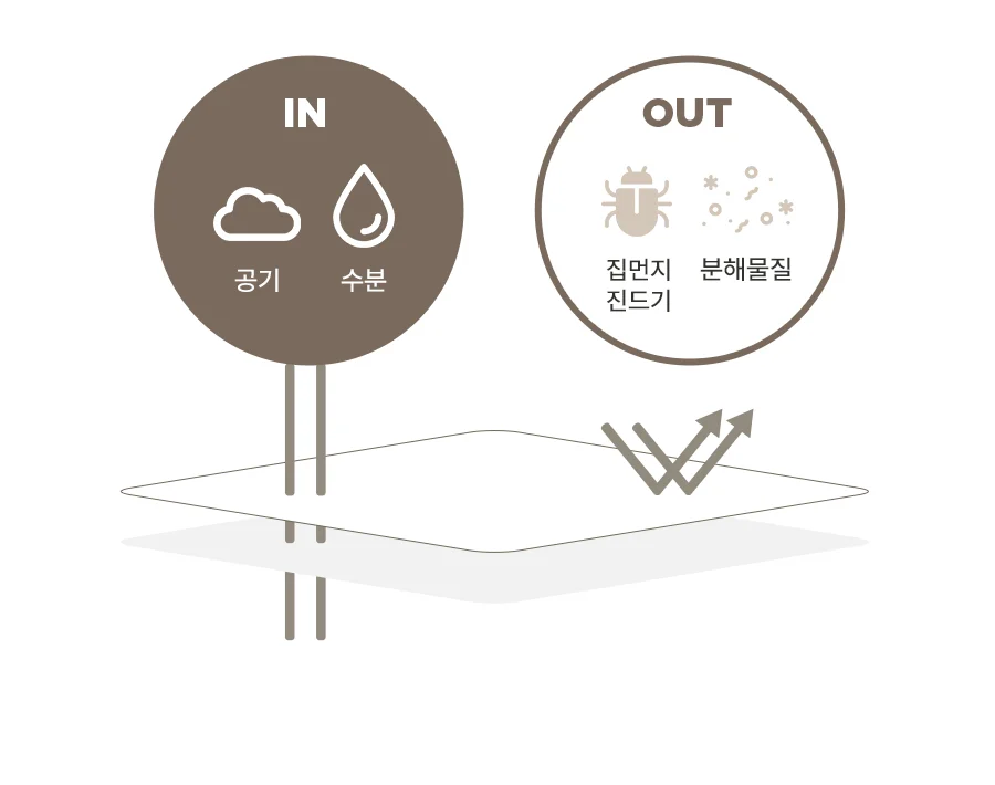 카시오 먼지없는 M2 알러지케어 베개커버 50x70 -2color 상세 이미지 10