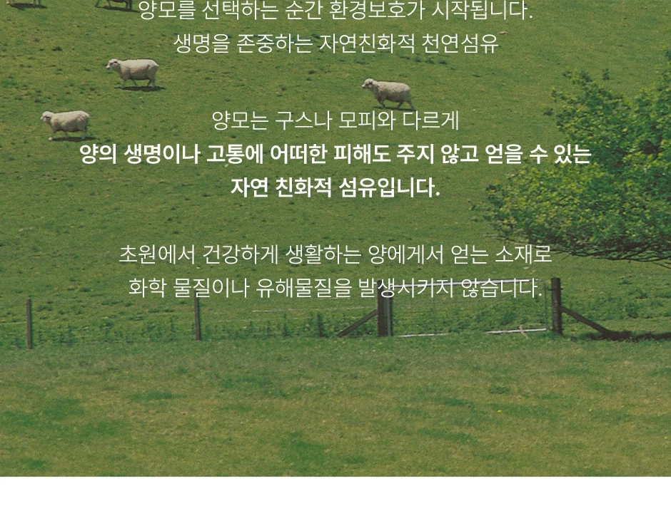 1+1 프리미엄 호주산 양모 100% 순면 스프레드 SS/Q/SK -3color 상세 이미지 12