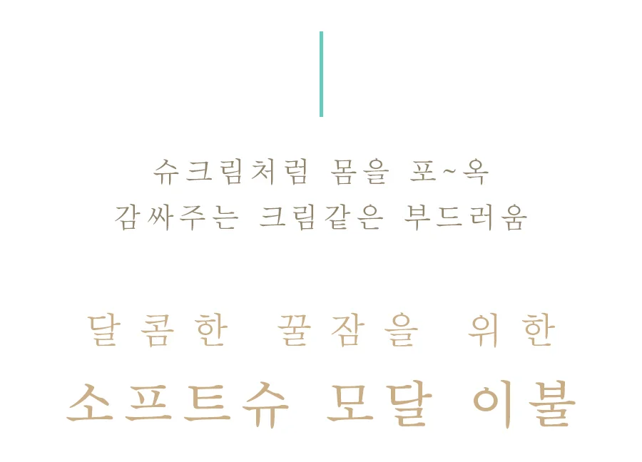 [GIFT 베딩백]소프트슈 모달100% 차렵이불/세트 Q -Butter 상세 이미지 37