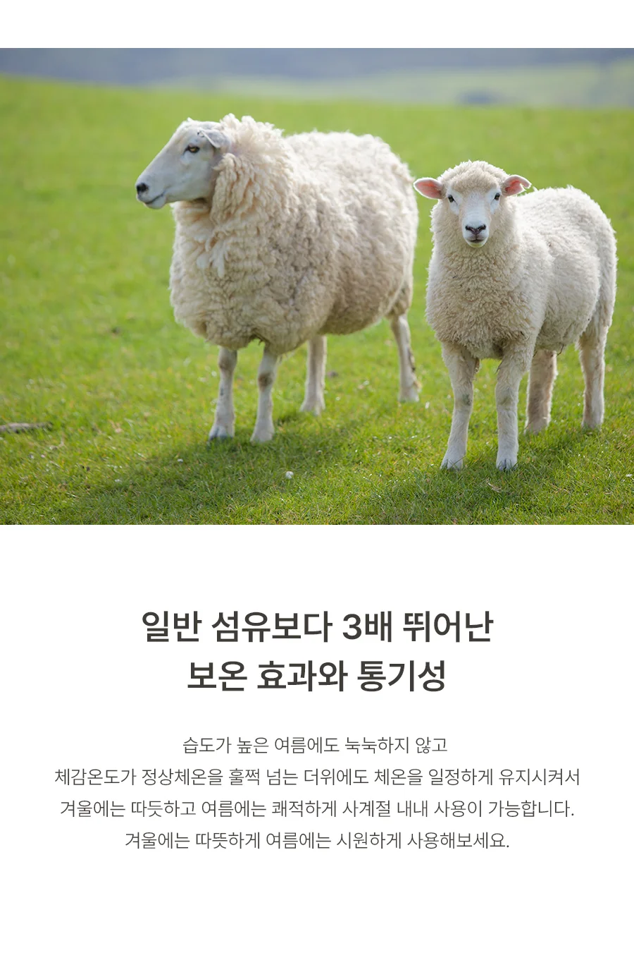 [전용패키지]모이스처 고밀도 순면 호주산 양모 스프레드 SS/Q -2color 상세 이미지 10