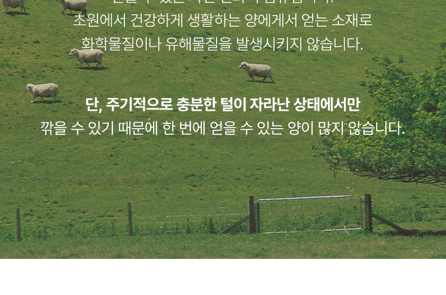 [전용패키지]클린핏 호주산 양모 항균 옥수수솜 경추 베개솜 45x65 상세 이미지 9