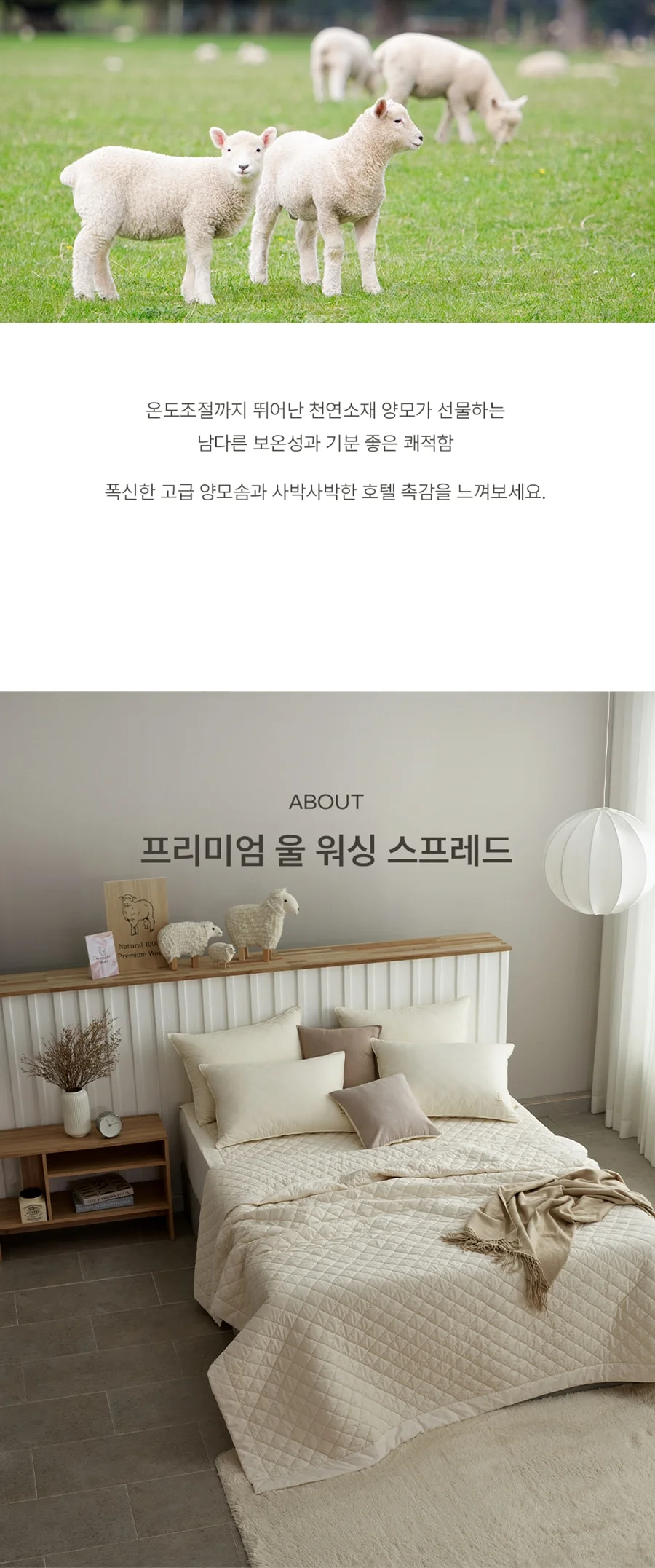 1+1 프리미엄 호주산 양모 100% 순면 스프레드 SS/Q/SK -3color 상세 이미지 6
